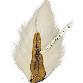 SupplyIt 5 Large Northern Bucktail Natural White Fly Tying Material Deer Hair - 4"-5" Inches, Large (10"-14" Inches)