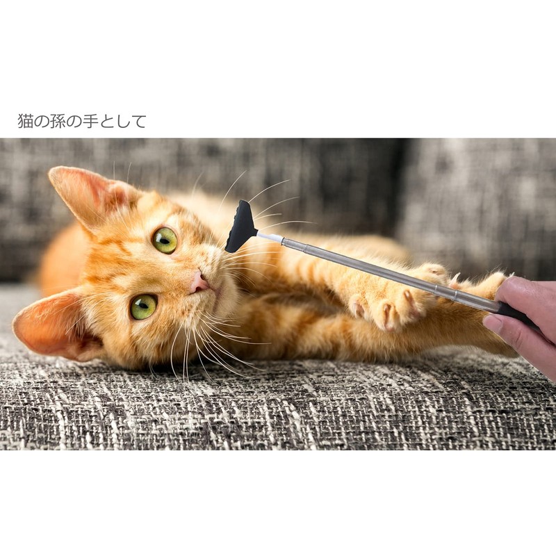 Grandchildren Portable Extendable Back Scraper, Stainless Steel, Back Scratcher, Massage/Trigger