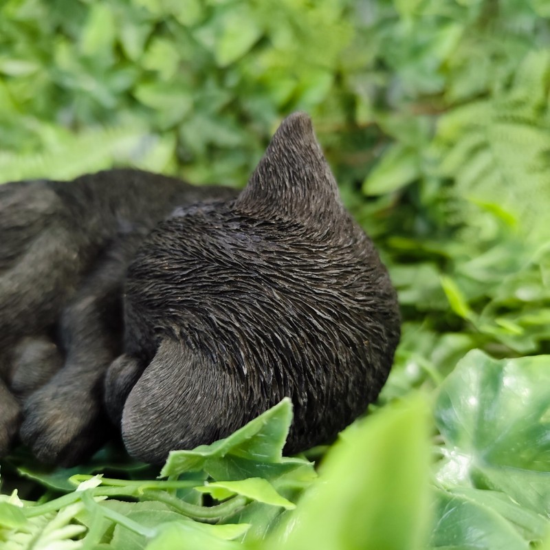 Vivid Arts - Sleeping Cat Black - XRL-ZC37-D