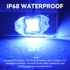Dual‑Color White & Blue 12V IP68 LED Deck Courtesy Boat