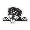 Rottweiler Dog Peeking Vinyl Sticker - for Water Bottle Car