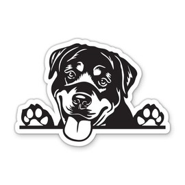 Rottweiler Dog Peeking Vinyl Sticker - for Water Bottle Car Tumbler Laptop - Waterproof - 5"
