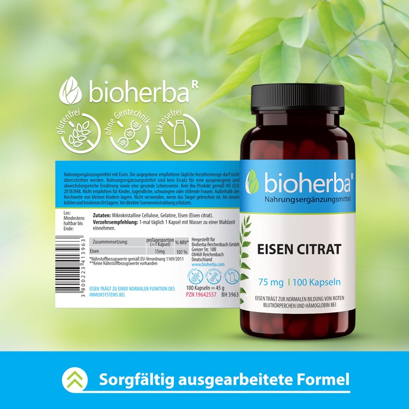 Eisencitrat Kapseln – 200 Stück hochdosiert mit 75 mg Eisen von