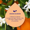 Dropps Odor & Stain Laundry Detergent Pods | Orange Blossom