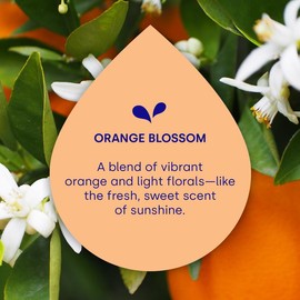 Dropps Odor & Stain Laundry Detergent Pods | Orange Blossom Scent - Size: Count / 128 Loads