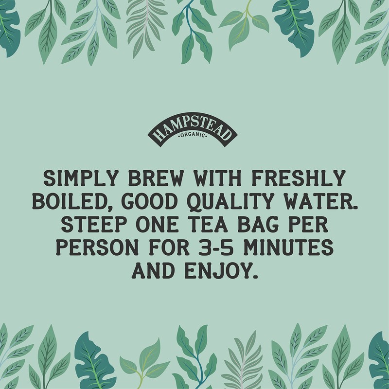 Hampstead Organic Peppermint 20 Teabags (Pack of 4 Total 80