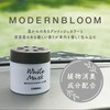 Harukado/CARALL Modern Bloom Luxury Aroma, Product Number: 3482