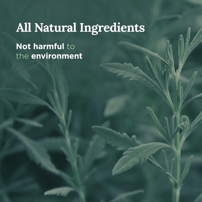 Magnificent 101 Long Lasting Pure Sage Scented Candle - 6