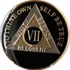 7 Year AA Medallion Glossy Classic Black Sobriety Chip VIIL8