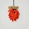More Than Christmas 35 Lights Chile Pepper Lighted Rista -
