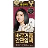 리엔 흑모비책 거품염색 (흑색) Rien Black Hair Color Foam (Black)
