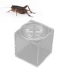 Square Insect Breeding Box Cricket Spider Reptile Insect Square Acrylic