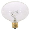 Satco S3822 120V Candelabra Base 25-Watt G16.5 Light Bulb, Clear