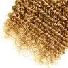 28 30 32 Inch Honey Blonde Bundle Color #27 Deep