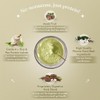  No Nonsense Plant Protein | Organic Pea & Brown