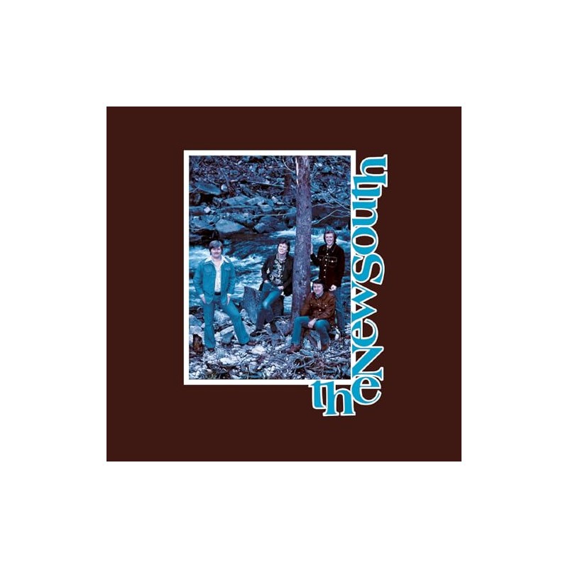 The New South [Vinyl LP]