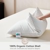 Saisier Goose Feather Down Pillows King Size Set of 1,