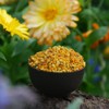 Highly Active Spanish Flower Pollen 500g