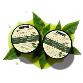 SSF Organics Natural Relief and Recovery Comfrey Salve - Topical Healing for Muscles, Joints and Skin - Great for Runners, Post Workout, Healing, Skin Repair - 2 Pack 4oz