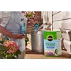 Miracle-Gro Water Soluble Miracid Acid-Loving Plant Food
