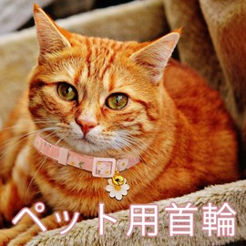 Set of 2 Cat Collars, Pet Collars, Cat Collars Included, Popular, Daisy Flower Pattern, Bell Included, Cat Buckle, Adjustable, Cute, Pet Collar, Suitable for Small Dogs, Cute Collar