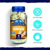 Litehouse Freeze Dried Ginger - Ginger Flakes, Substitute for Fresh