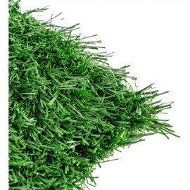 Fancy Repuesto De Pasto Doggie Grass Chico Tapete Entrenador