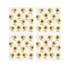 Sunflower Ceramic Coaster Set - Bright Summer Flowers Square Set