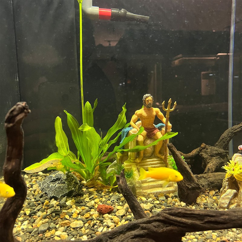 Simulation King Statue Aquarium Decoration Resin Safe Fish Tank Decoration