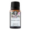 Midnight Vanilla Fragrance Oil (15ml) for Perfume, Diffusers, Soap Making,