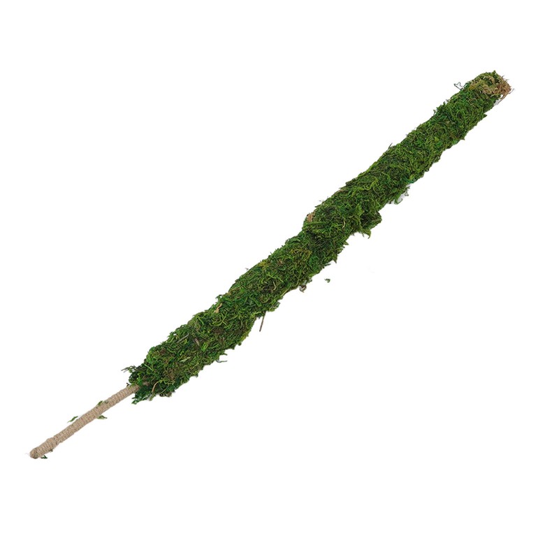 Moss Pole Bendable Safe Moss Plant Rod Plant Support Gardening