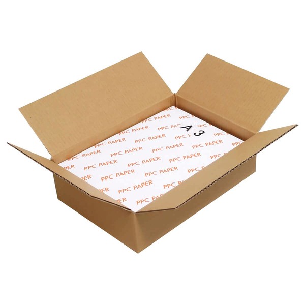 Earth Cardboard ID0034 Cardboard, 100 Size, A3, Depth 4.7 inches (120 mm), Set of 40, Cardboard, 100, Thin, Packing