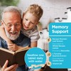 Healthspan Memory Support (60 Capsules) | Supports Your Concentration, Memory