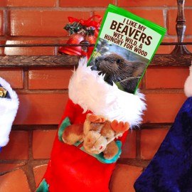 I Like Beavers Cotton Candy - Gourmet Food Gifts for Beaver Lovers Hilarious Mens Stocking Stuffers Gluten-Free Pink Strawberry