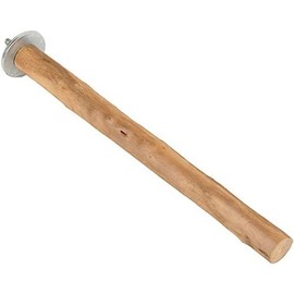 Bainbridge Natural Bird Perch, 25 x 2.5 cm Size