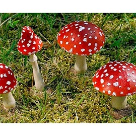 Toadstool Garden Decoration Resin Set of 2