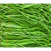 100+ Seeds Snake Oriental Yard Long Pole Bean Seed for