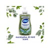 Dial Antibacterial Defense Hand Soap with Aloe, Eucalyptus & Mint