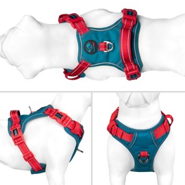 PHOEPET No Pull Dog Vest Harness, Adjustable, Reflective, Non-Choking Pet Harness with Easy to Use Handle and Metal Clips for Dogs (Teal Base & Red Straps, S