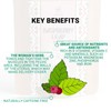 Raspberry Leaf & Peppermint Tea by Amelia Rose | 50