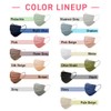 Iris Ohyama APN-60LW Mask, Non-woven Fabric, Pleated Mask, Color Mask,