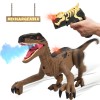 Dusky Shark RC Velociraptor Dinosaur Toy Remote Control Walking Dinosaur