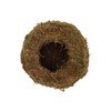 Esschert Kokedama Moss Ball M Diameter 14.5 cm
