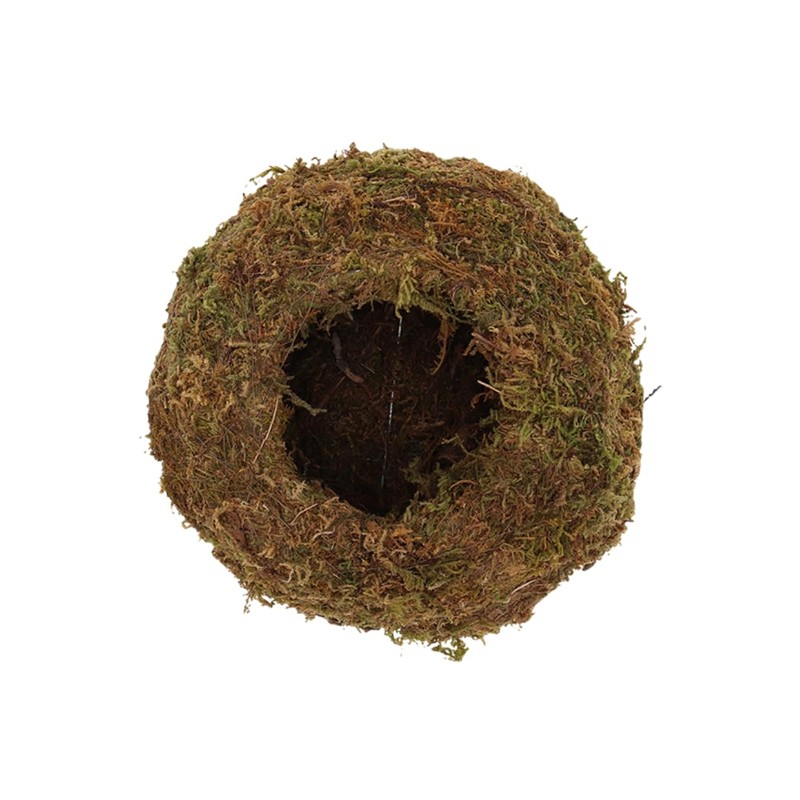 Esschert Kokedama Moss Ball M Diameter 14.5 cm