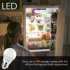Maelsrlg 40 Watt Equivalent Refrigerator Light Bulb, 90+CRI, 5W 600LM