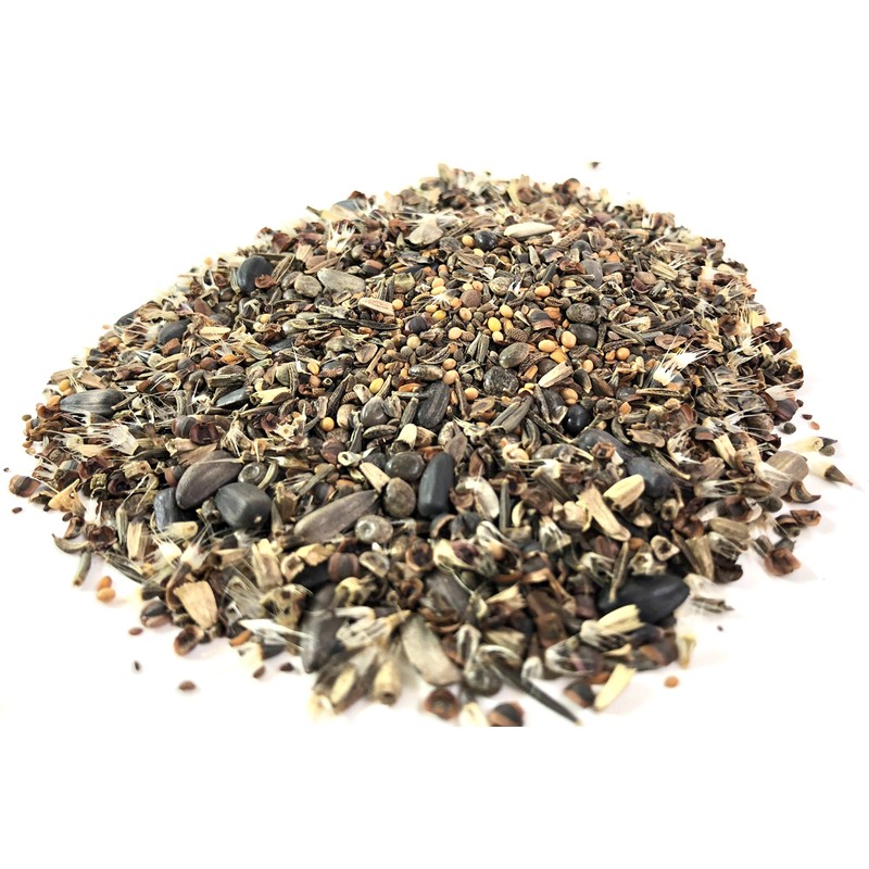 Bee Friendly Wildflower Seed Mix - Bulk 1 Ounce Packet