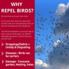 Bird Repellent Spray, Residential Bird Problem Solution by Flock Free