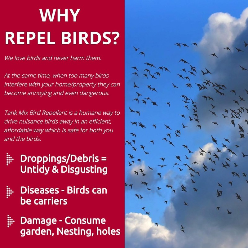 Bird Repellent Spray, Residential Bird Problem Solution by Flock Free
