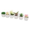 6PCS Potted Artificial Succulents Artificial Plants in Pots Plastic Fake