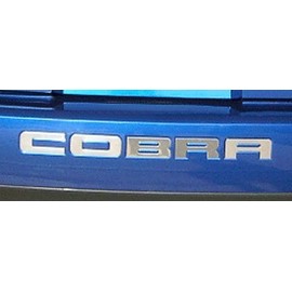 System Skins Rear Bumper Vinyl Inserts Decals Letters Compatible with 2003-04 Ford Mustang Cobra - 38 Colors to Choose from (Color :: Carbon Fiber)